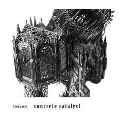 Beehoover : Concrete Catalyst